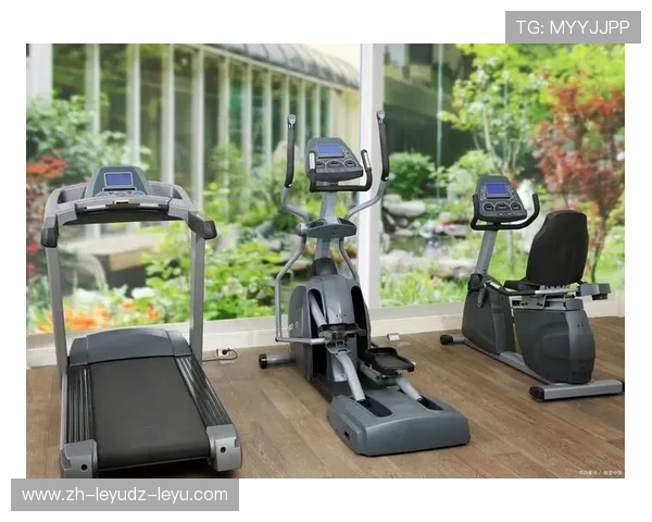 美国模式综合健身器材设计理念及应用分析 美国模式综合健身器材设计理念及应用分析