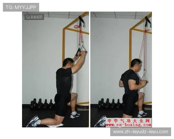 锻炼背部肌群的健身器材推荐及姿势指导