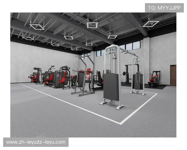 预算内打造家庭健身房:热门器材价格对比 预算内打造家庭健身房:热门器材价格对比