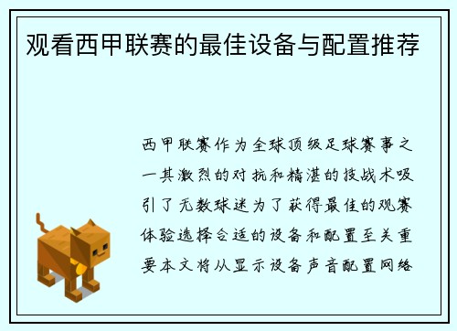 观看西甲联赛的最佳设备与配置推荐