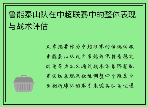 鲁能泰山队在中超联赛中的整体表现与战术评估