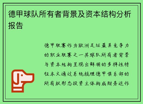 德甲球队所有者背景及资本结构分析报告